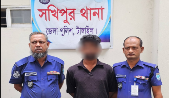সখিপুরে ২৭ পিস ইয়াবাসহ দুই মাদক ব্যবসায়ী গ্রেফতার